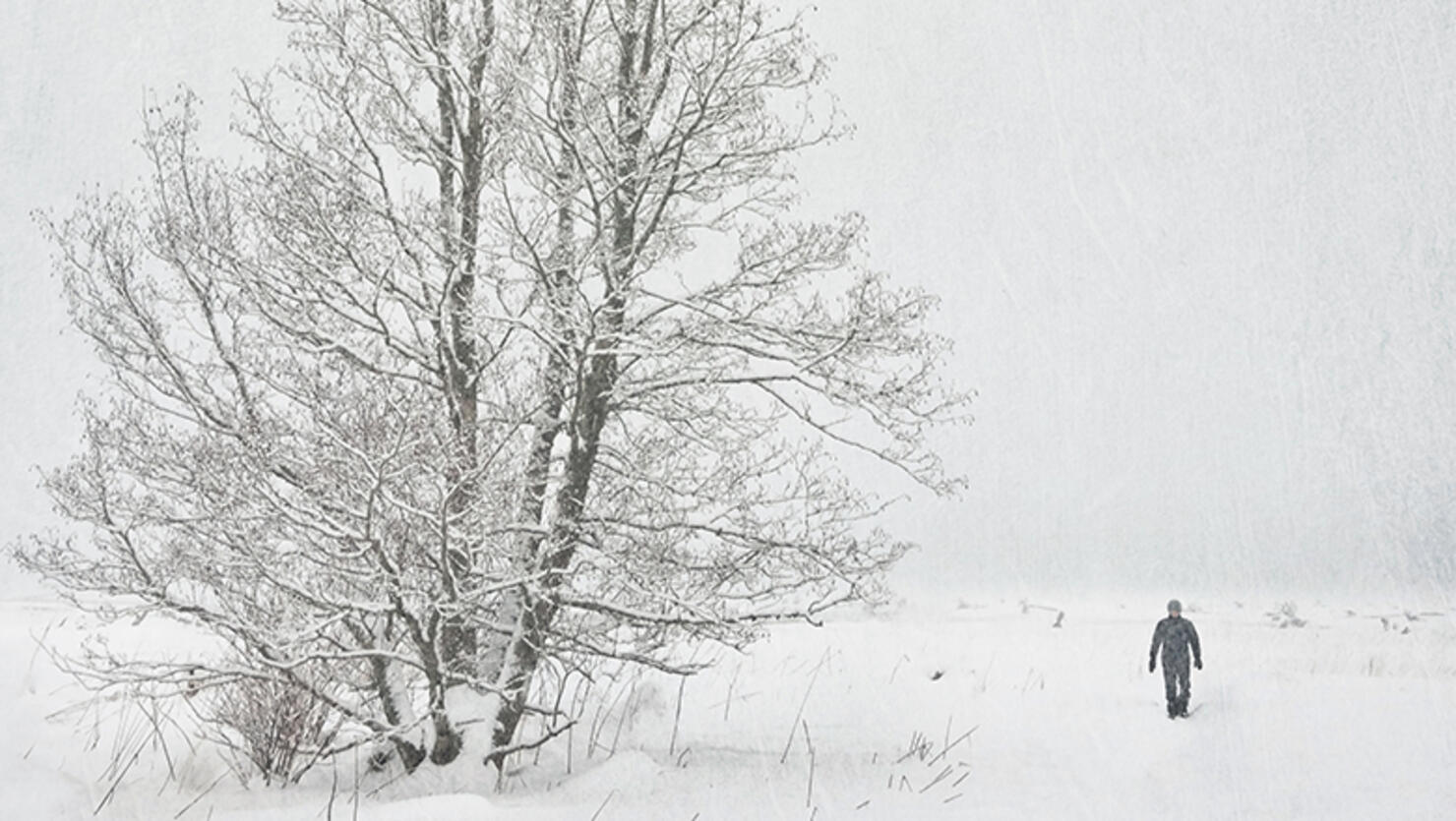 Person walking in snowstorm