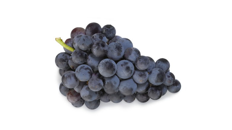 Bunch of Cabernet grapes