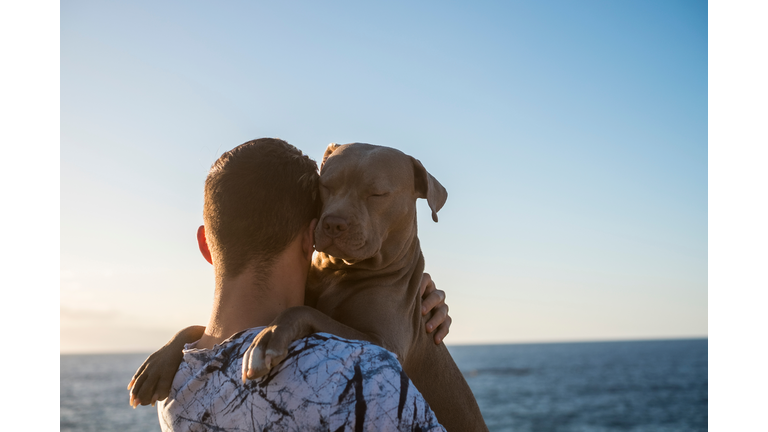 Rear View Of Man With Dog At Beach Against Clear Sky