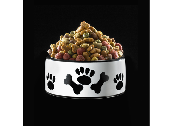 Bowl of dog food