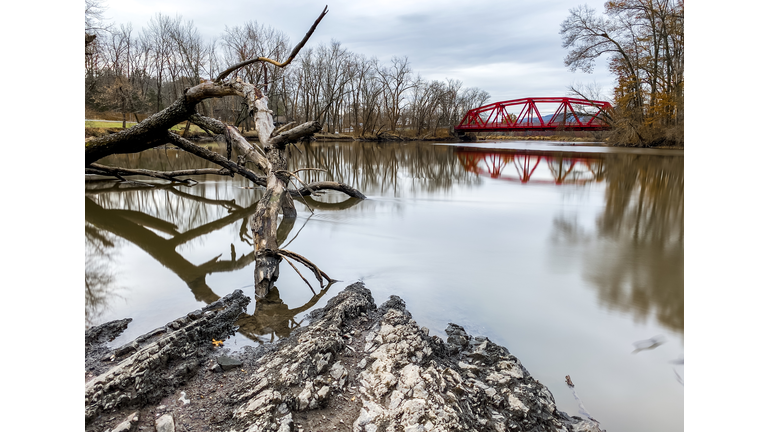 Bare Trees By Lake During Winter