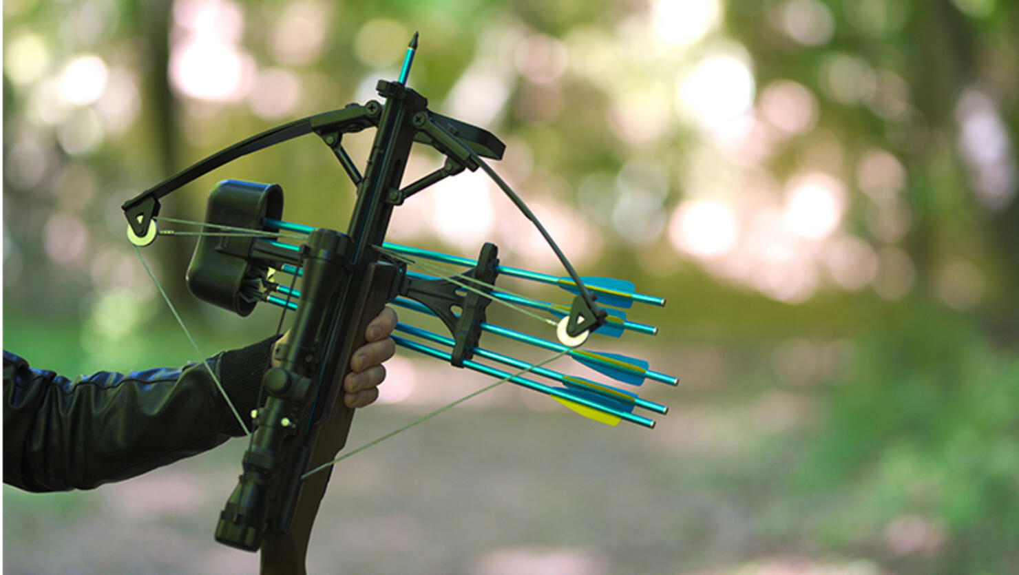 Hand holding crossbow, in the nature