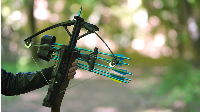 Hand holding crossbow, in the nature