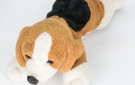 Airport Staff Reunites Boy With Stuffed Animal