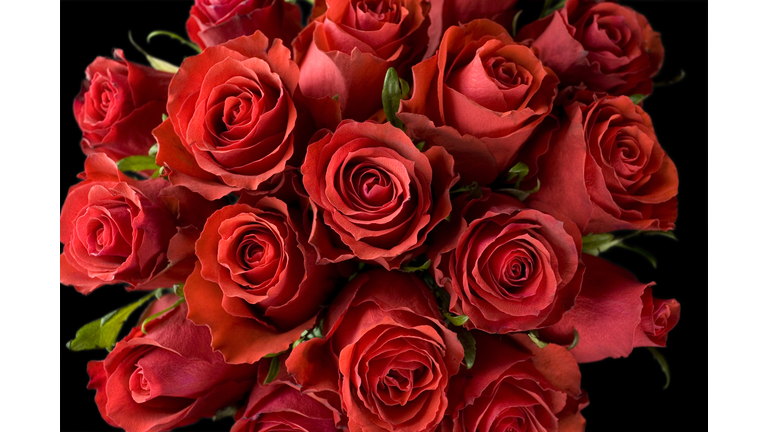 Red roses