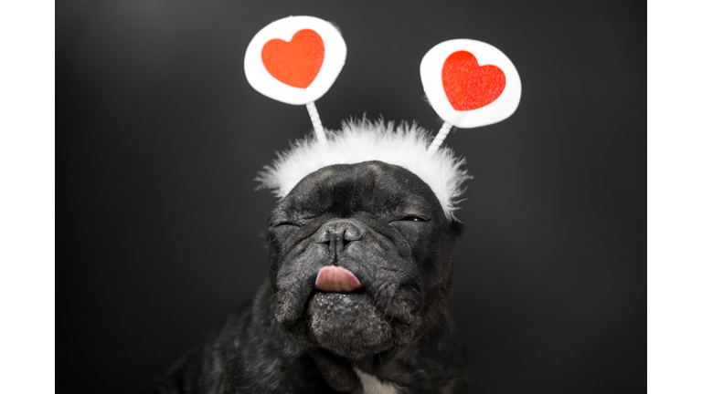 (Photo Credit; Getty Images)