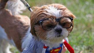 Get This Instead Of Dating 