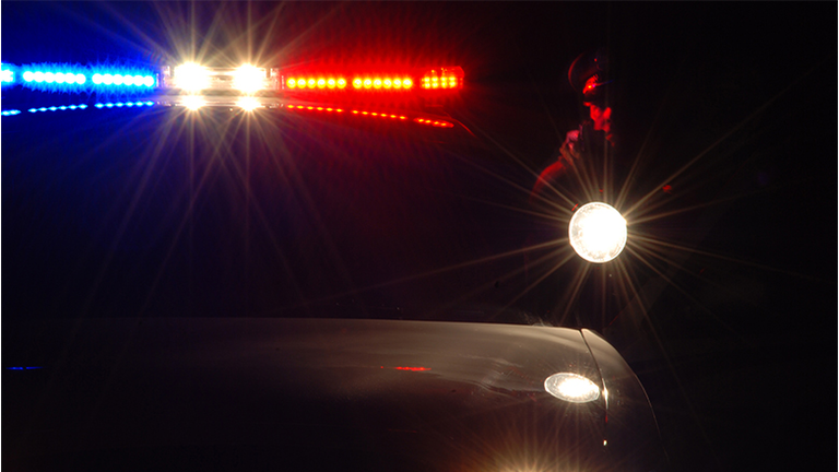 Police authority