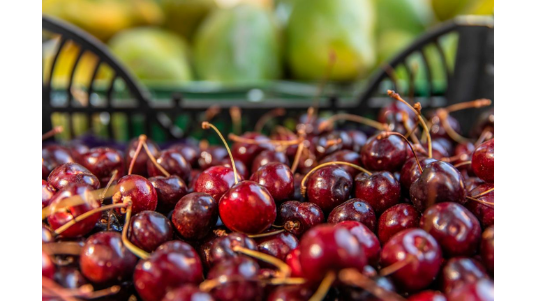 FOOD TRADE-EGYPT