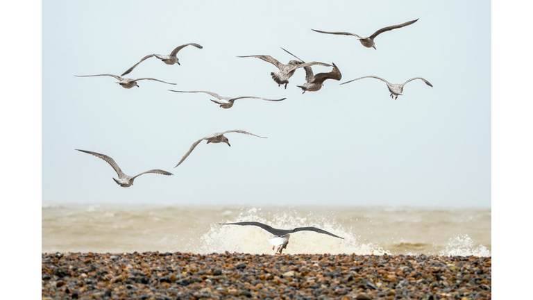 Storm Brendan Brings High Winds And Rain To The UK