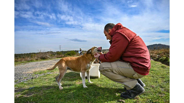 TURKEY-ANIMAL-SOCIAL