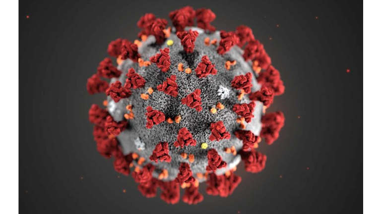 Coronavirus