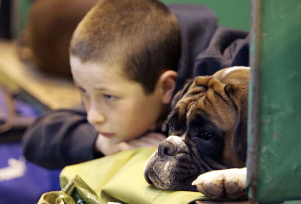 Children Who Grow Up With Dogs Are Better Behaved