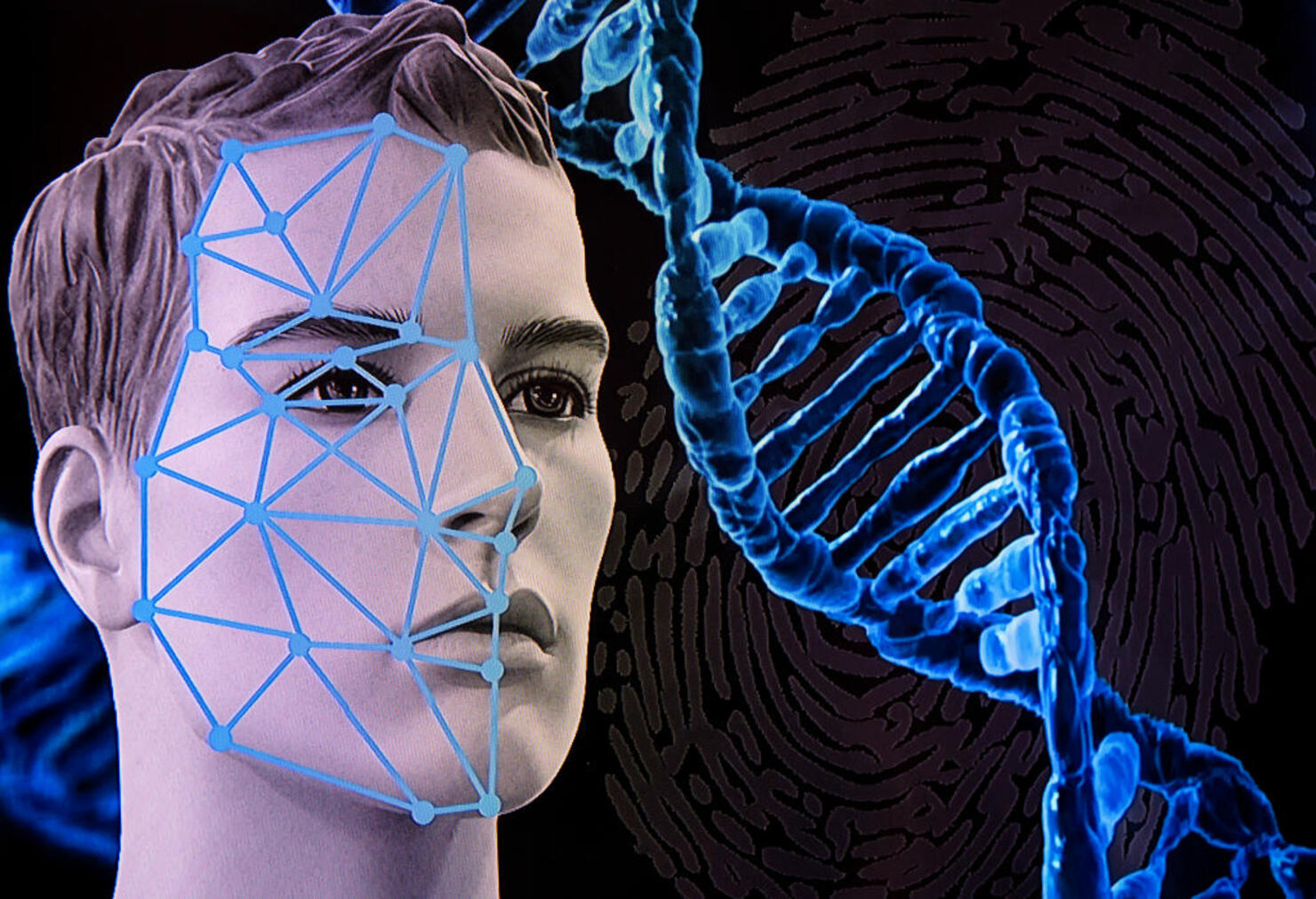 Face recognition software at the LKA