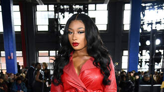 Megan Thee Imprisoned; This Is No Way To Start Women's History Month