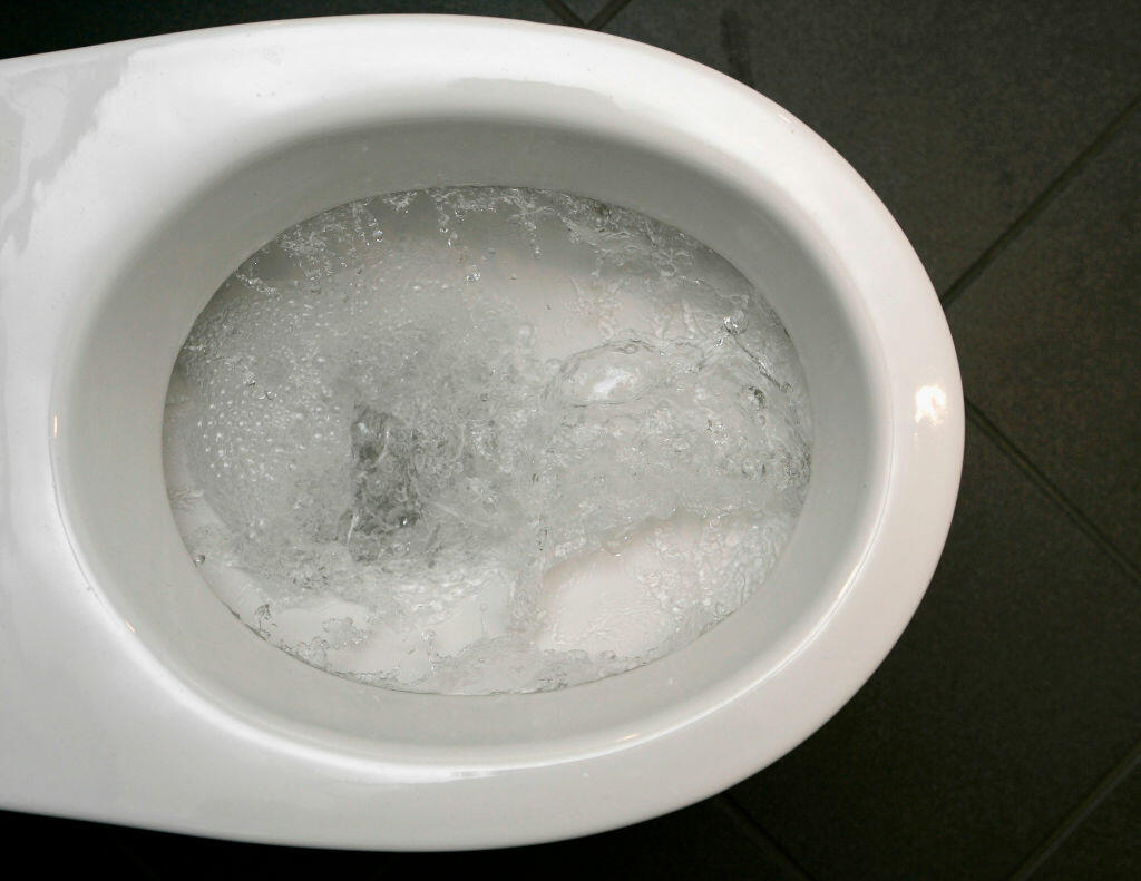 Tik Tok User Licks Toilet Seat For Coronavirus Challenge - Thumbnail Image