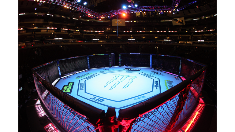 UFC 238 Cejudo v Moraes