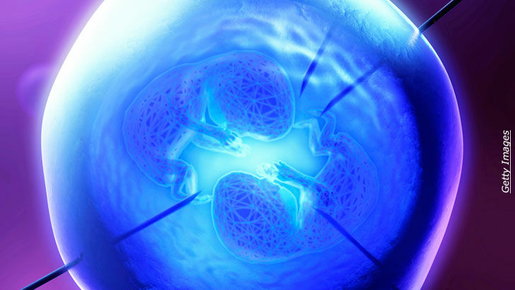 Advances in Cloning & Stem Cells