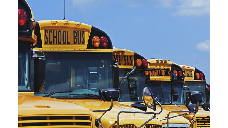 Yellow school buses parked diagonally