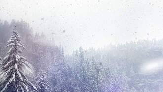 Meteorological Winter Begins Today