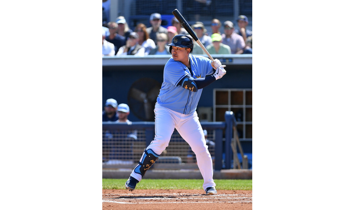 Minnesota Twins v Tampa Bay Rays