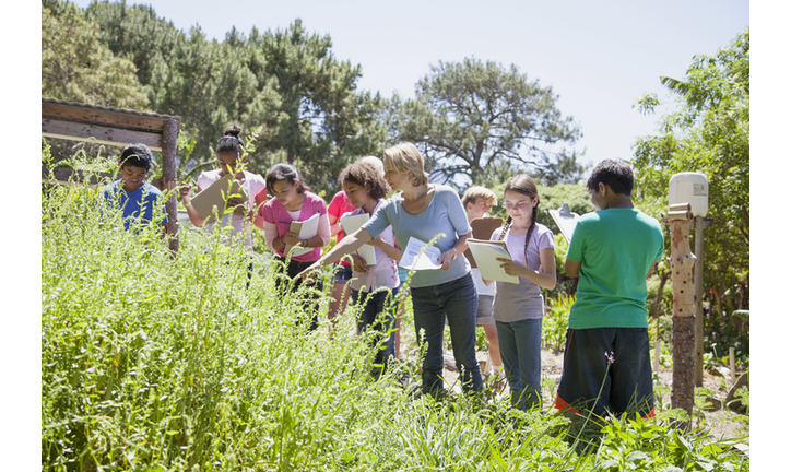 Children on a school field trip in nature