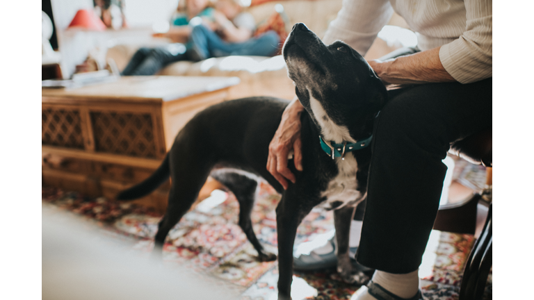 Shelter Dog Waited 848 Days For His Forever Home