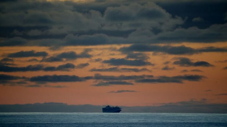 Grand Princess cruise ship (Getty Images)