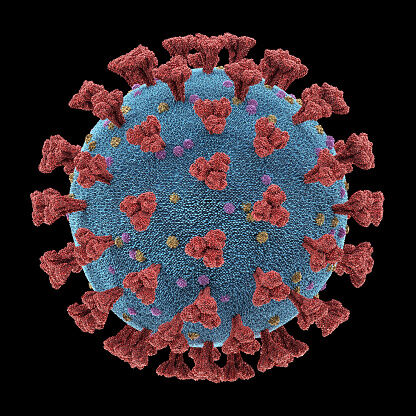 Coronavirus particle, illustration