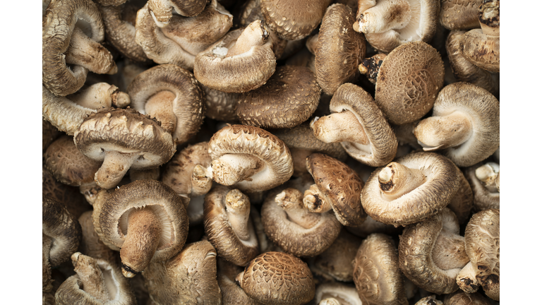 Full frame shot of mushrooms