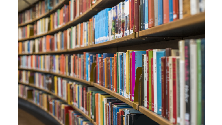 Books on bookshelves