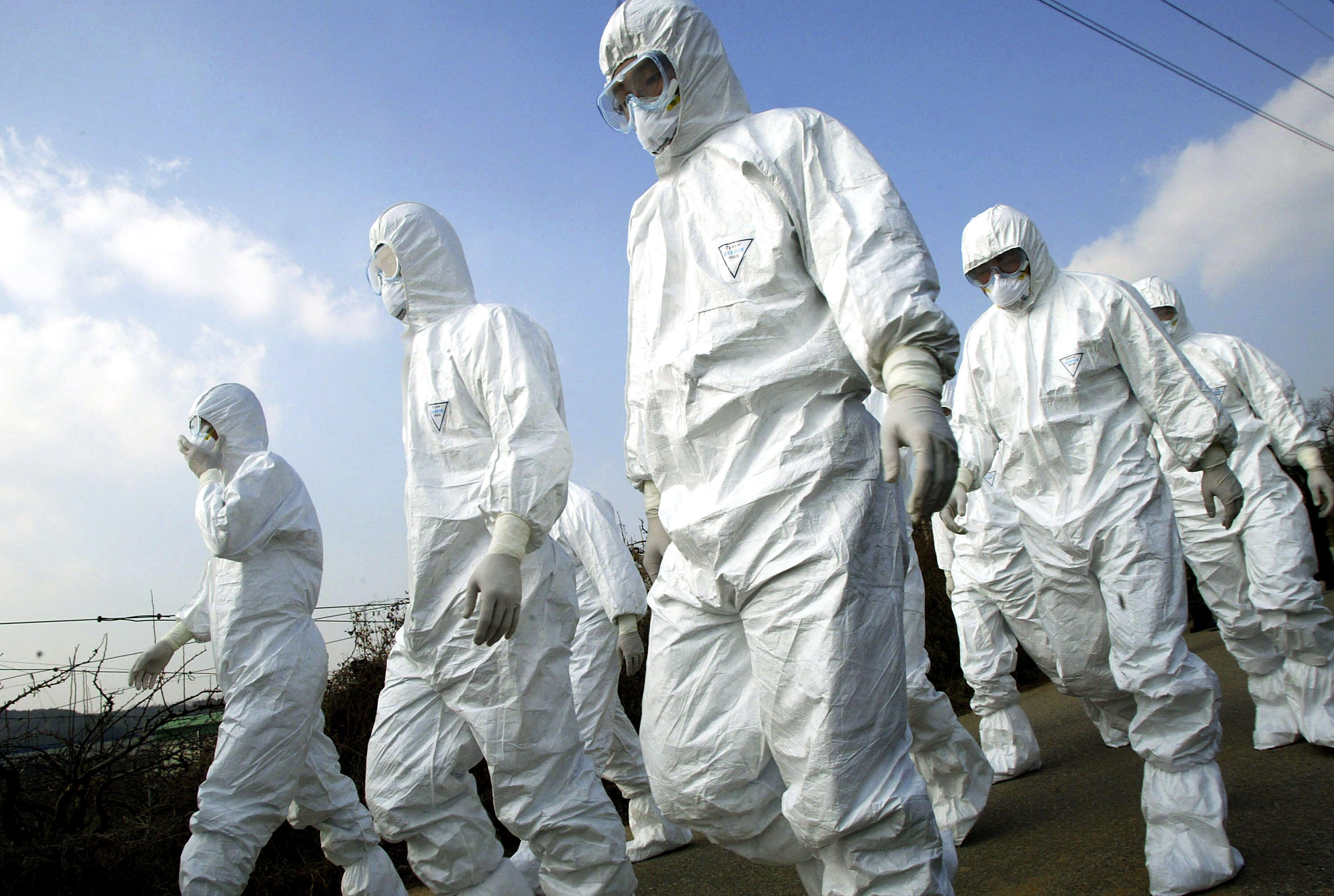 2011 Movie Predicting Virus Becomes Most Streamed Amid Coronavirus Pandemic - Thumbnail Image