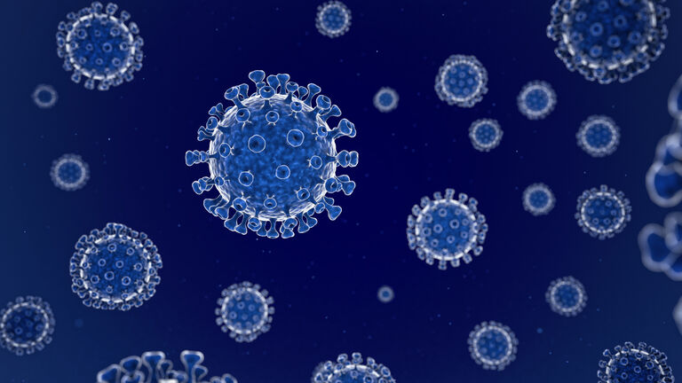 Coronavirus structure