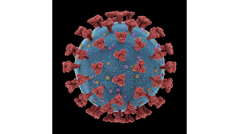 Coronavirus particle, illustration