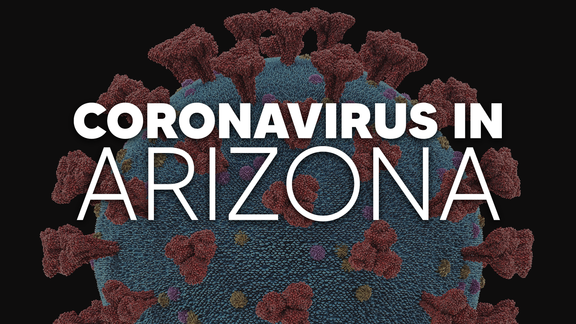 Coronavirus in Arizona: The Latest Numbers & Information You Need To Know - Thumbnail Image