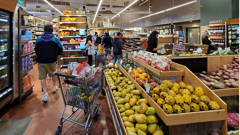 COVID-19 Grocery Shoppers