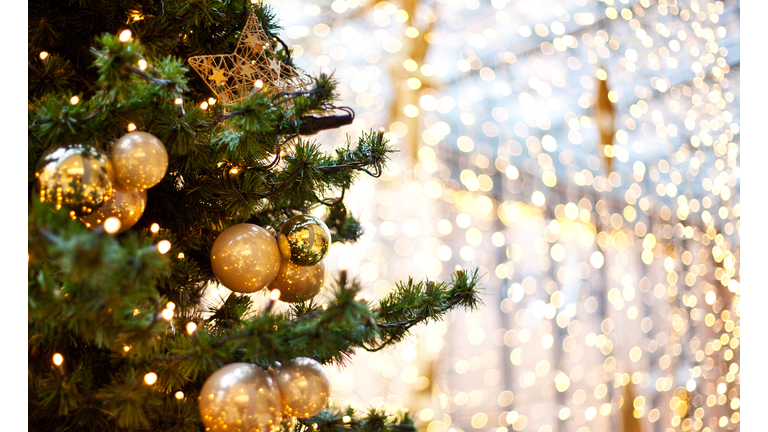 Cropped Christmas Tree With Ornaments At Night