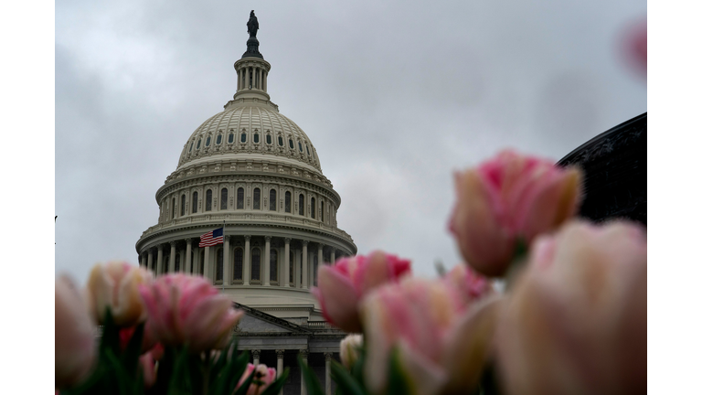 US-HEALTH-VIRUS-POLITICS