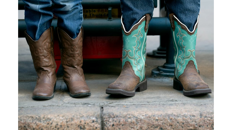 Houston Livestock Show and Rodeo 2021 