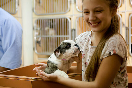 Looking to Adopt A Pet?  Here Are Some Helpful Tips to Help You Get Started
