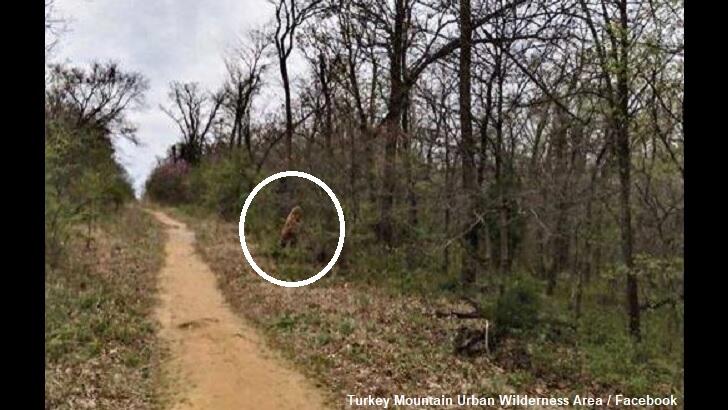 Multiple Bigfoot Sightings Reported At Oklahoma Urban Wilderness Area   5e83b7ac54338bfa432f1706