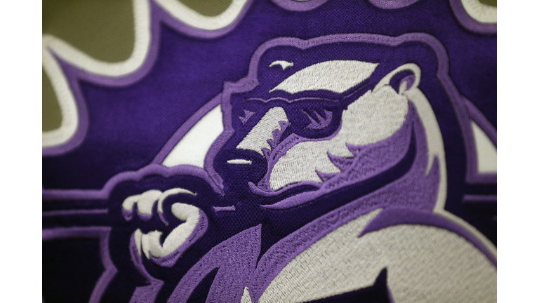 A Week With The Orlando Solar Bears