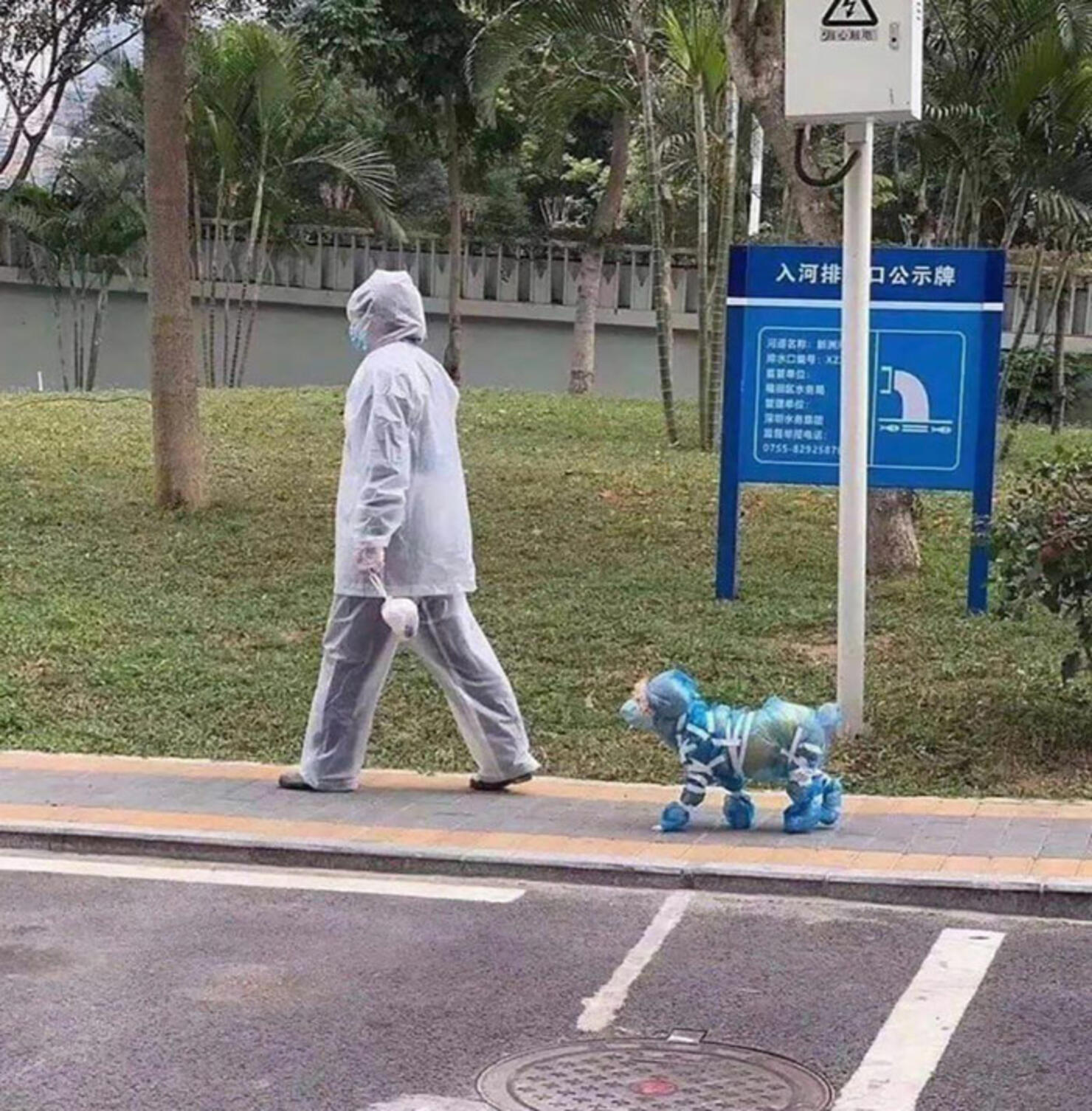 Photo: Reddit.com