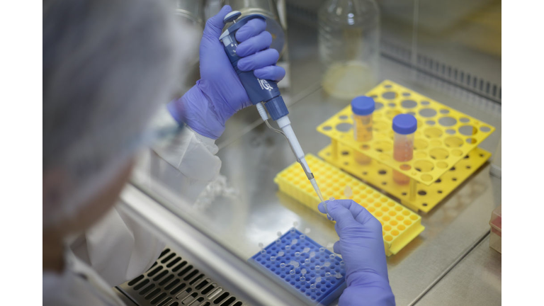 Coronavirus (COVID - 19) Testing Program Amidst the Pandemic