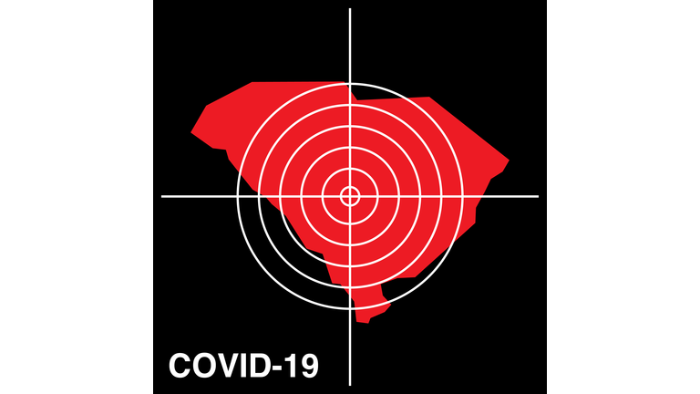 COVID-19 South Carolina Target Map Icon