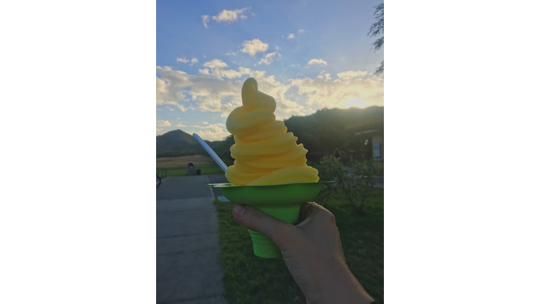 DOLE WHIP HAWAII