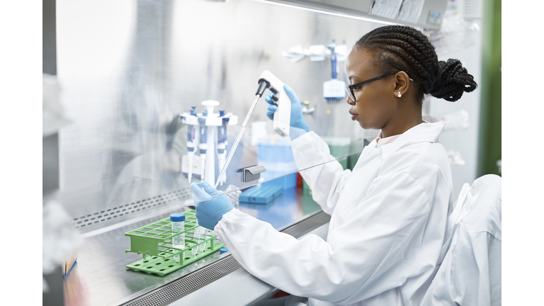 Scientist analyzing medical sample in laboratory