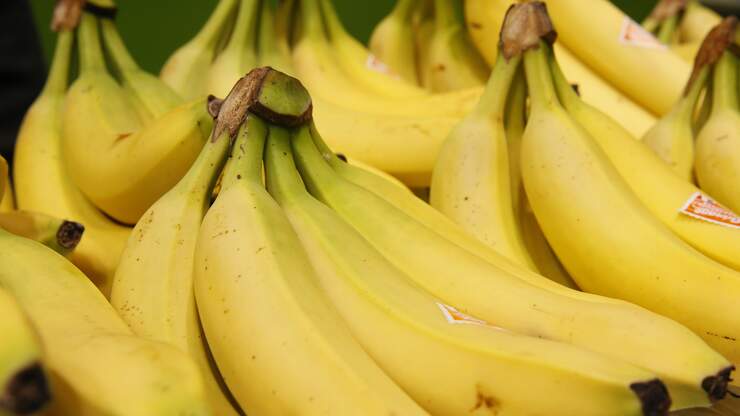 Bananas Fighting Deadly Fungus In Global Crisis | Shenandoah Country Q102