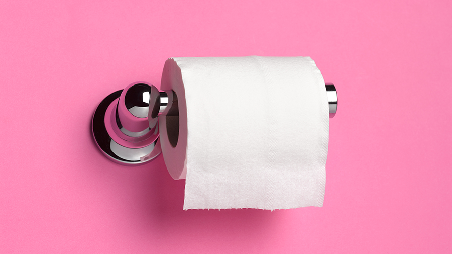 All Toilet Paper Roll Hacks Are Bad