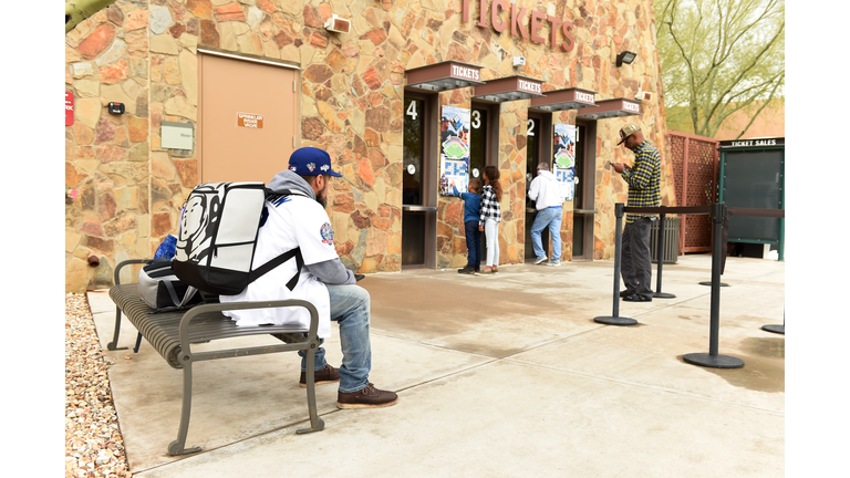 Major League Baseball Suspends Spring Training